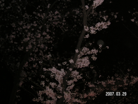 s_PICT0007.jpg